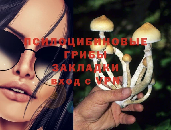 таблы Алзамай