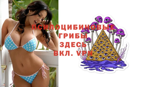 Альфа ПВП Алексин