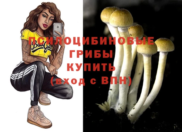 Альфа ПВП Алексин