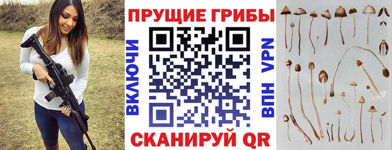 что такое наркотик  Билибино  Галлюциногенные грибы мухоморы 